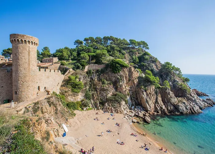 Oli - * Lloret de Mar