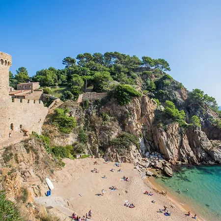 Oli - * Lloret de Mar