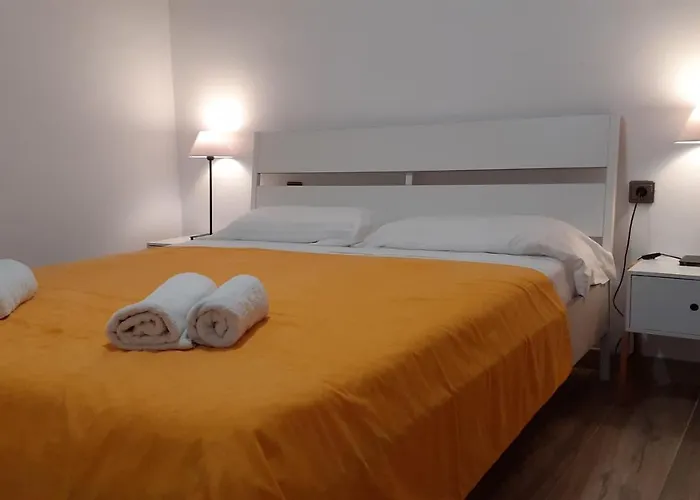 Oli - * Lloret de Mar